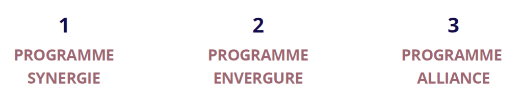 3 programmes PNL